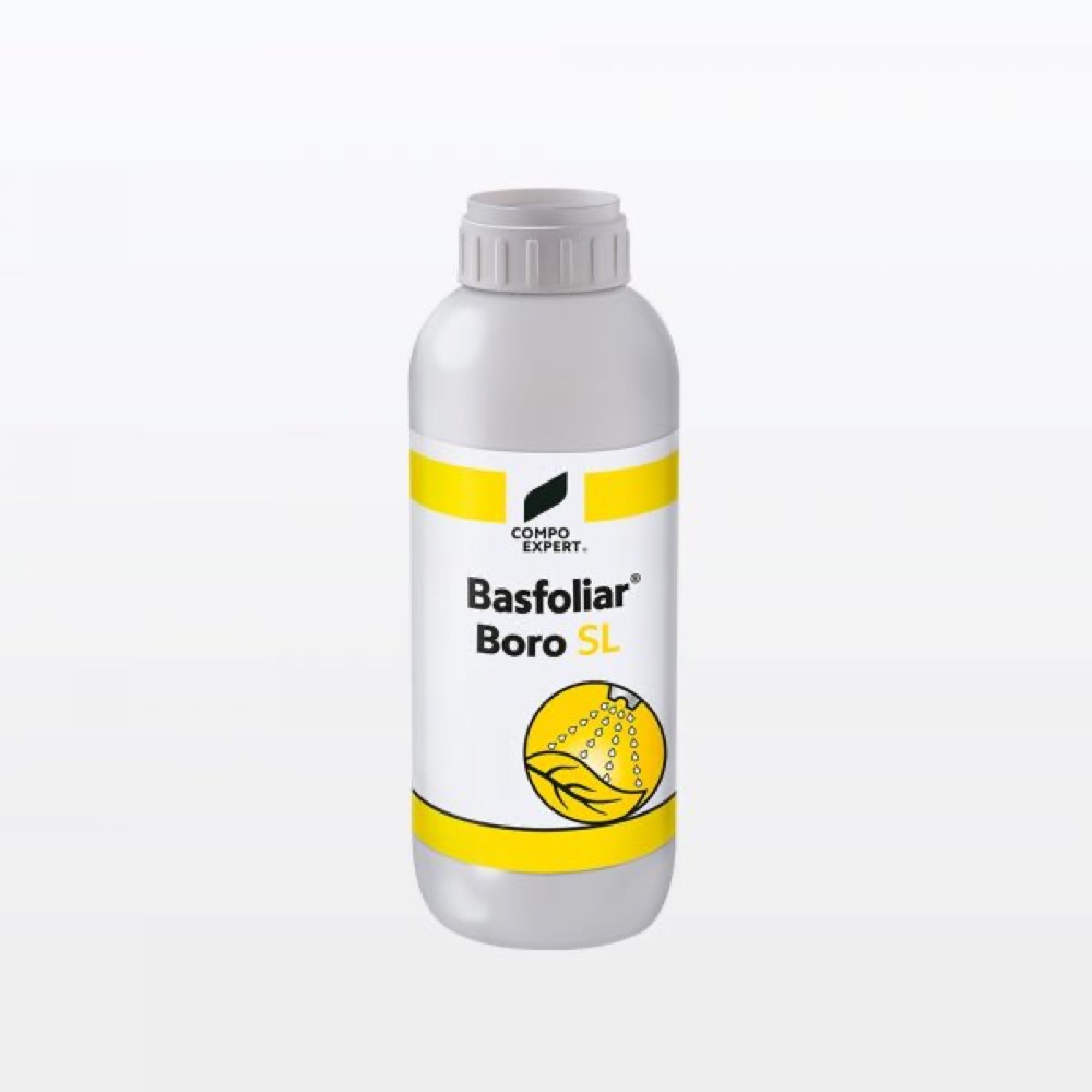 BASFOLIAR BORO