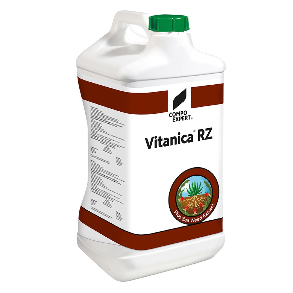 VITANICA RZ